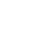 Saudi Pro League